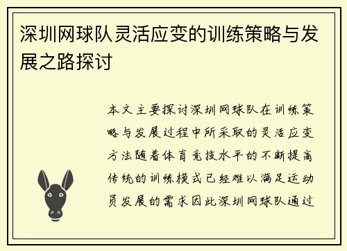 深圳网球队灵活应变的训练策略与发展之路探讨